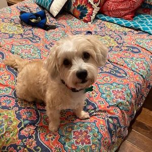 Meet your Posher, Margery